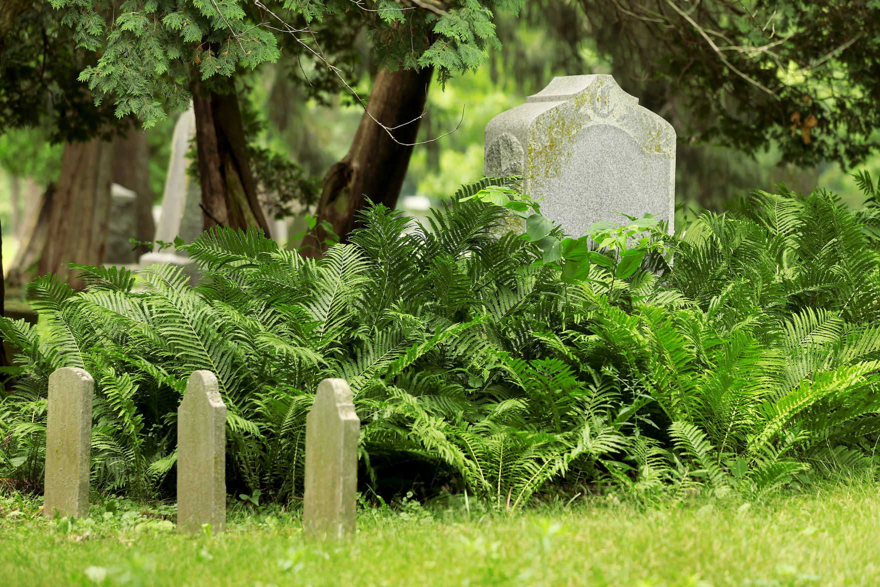 Fairmount Cemetery 14